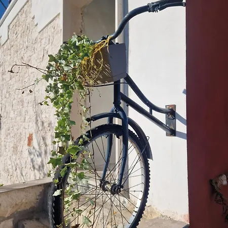 Borgo R